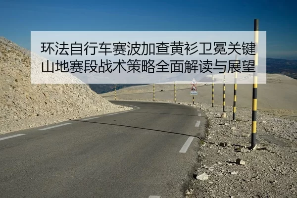 环法自行车赛波加查黄衫卫冕关键 山地赛段战术策略全面解读与展望