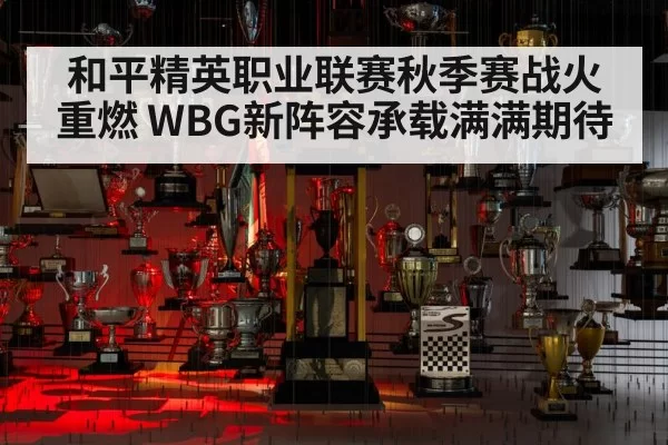 和平精英职业联赛秋季赛战火重燃 WBG新阵容承载满满期待